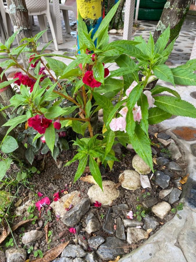 Campestre Betel * Rivera