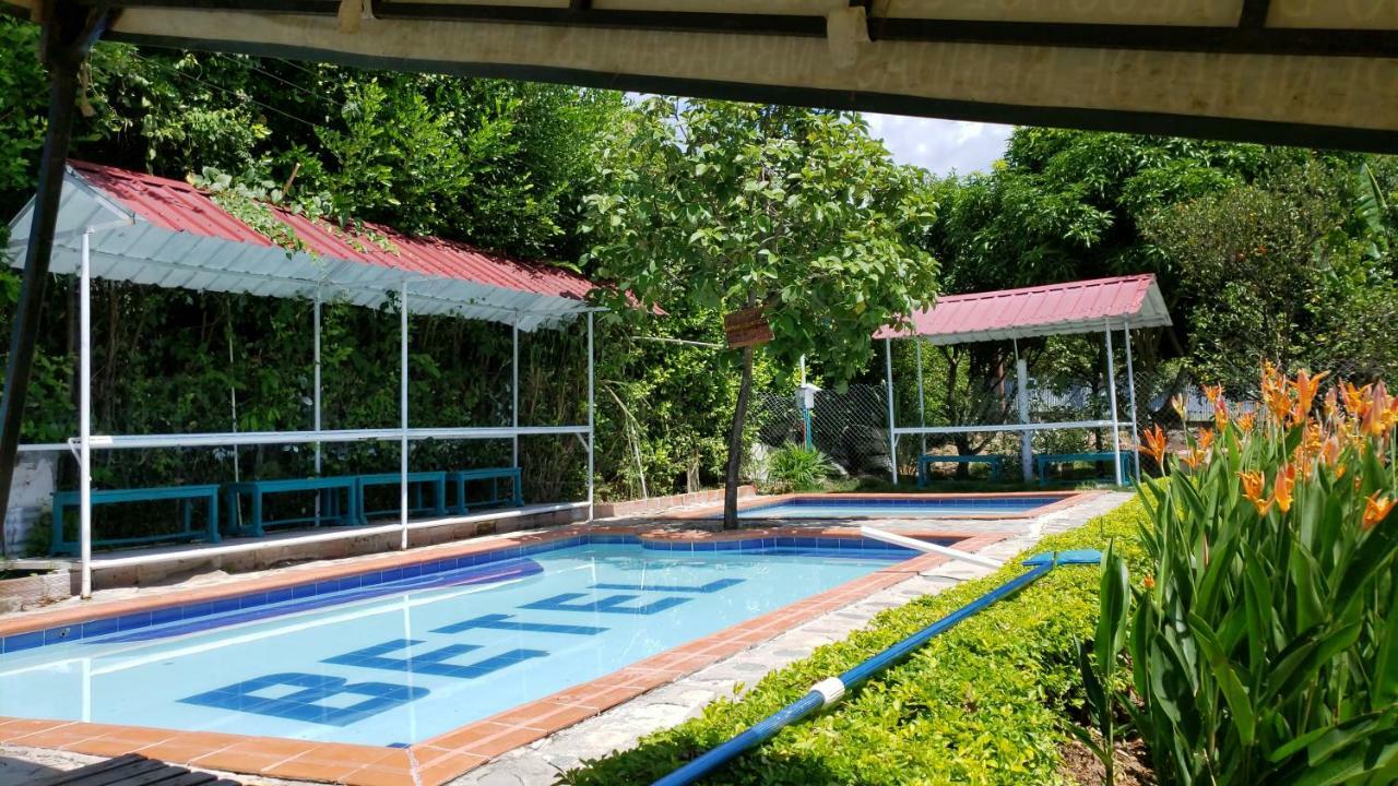 Campestre Betel